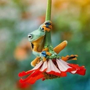 Meet your Posher, Shelly